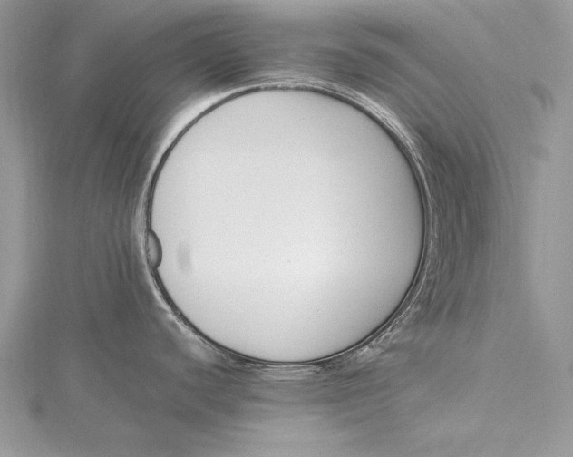 X0000115761440200912041401