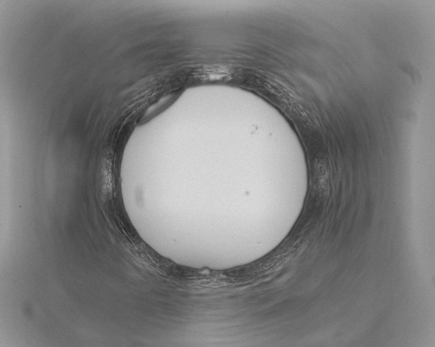 X0000115761442200912041400