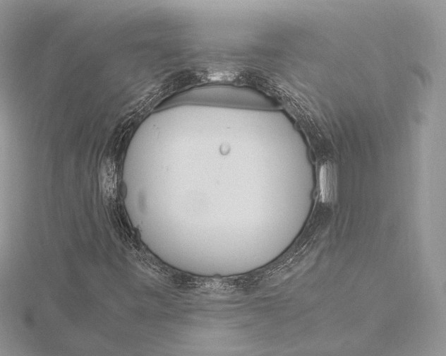 X0000115761443200912041400