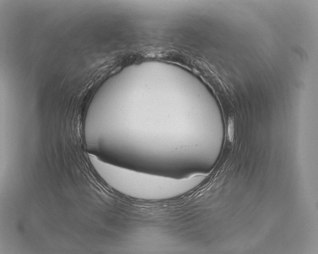 X0000115761444200912041400