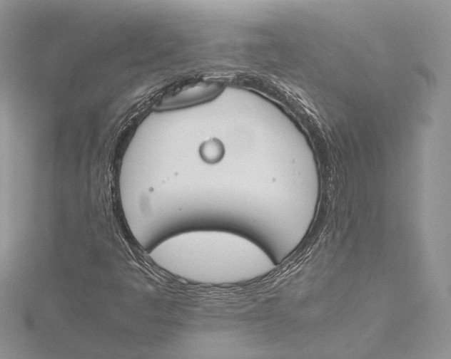 X0000115761445200912041400