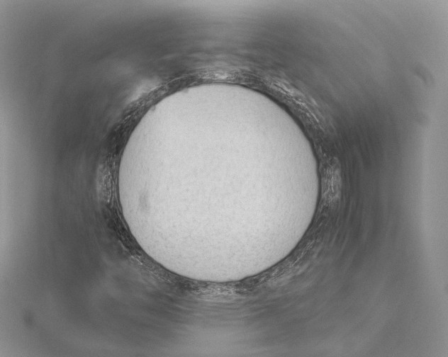 X0000115761446200912041400