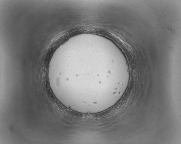 X0000115761447200912041400