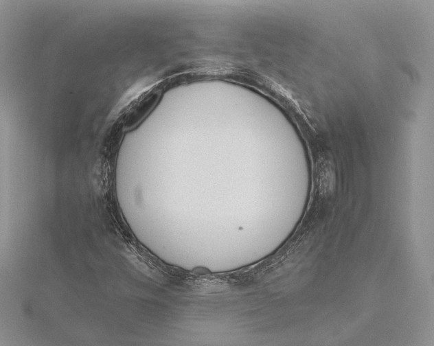 X0000115761448200912041400