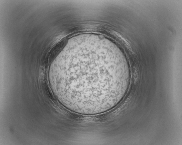 X0000115761449200912041400