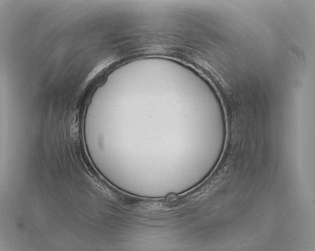 X0000115761450200912041400