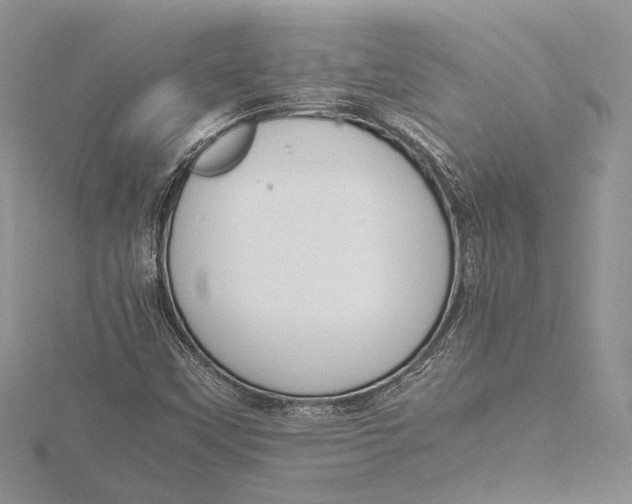 X0000115761451200912041400