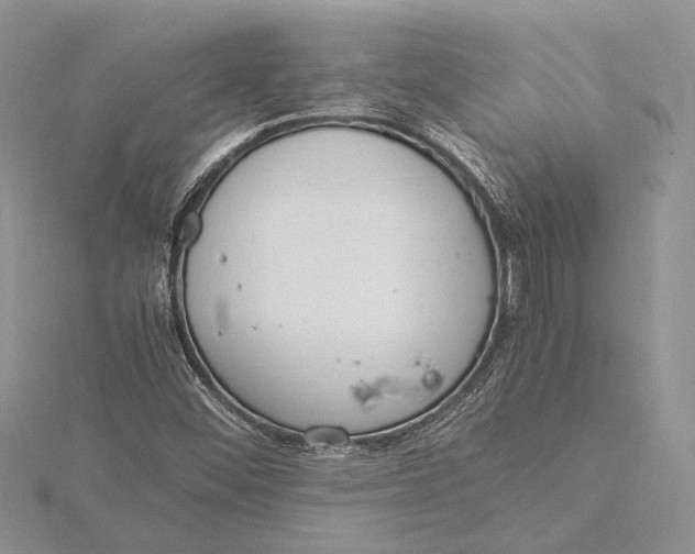 X0000115761452200912041400