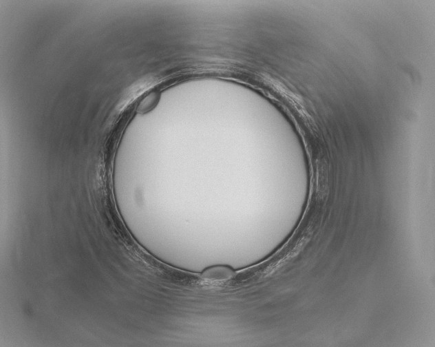 X0000115761453200912041400