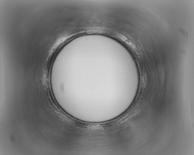 X0000115761454200912041400