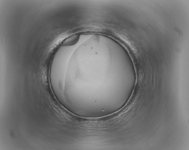 X0000115761455200912041400