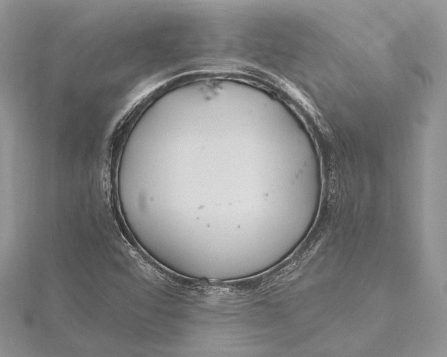 X0000115761456200912041400