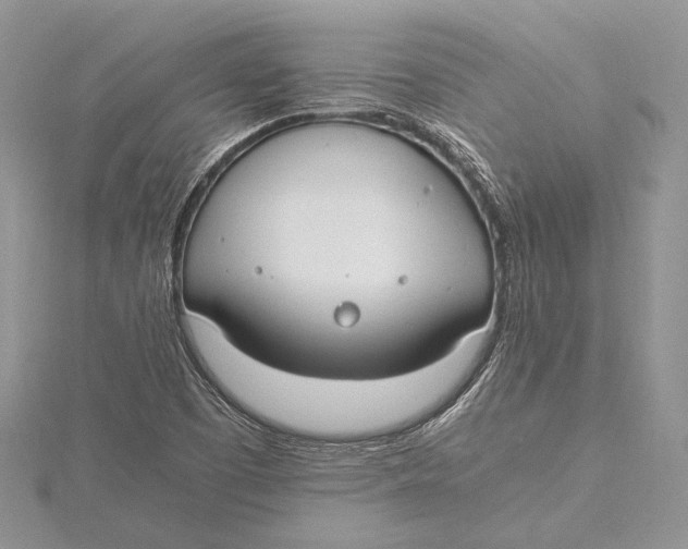 X0000115761457200912041400