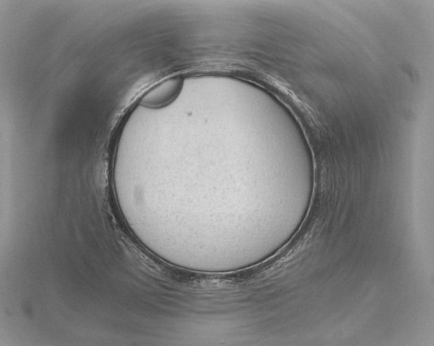 X0000115761459200912041400