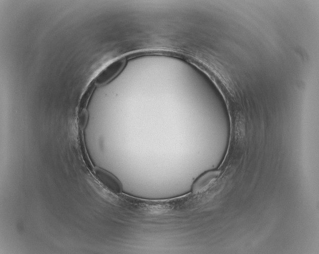 X0000115761460200912041400