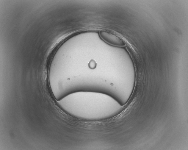 X0000115761461200912041400