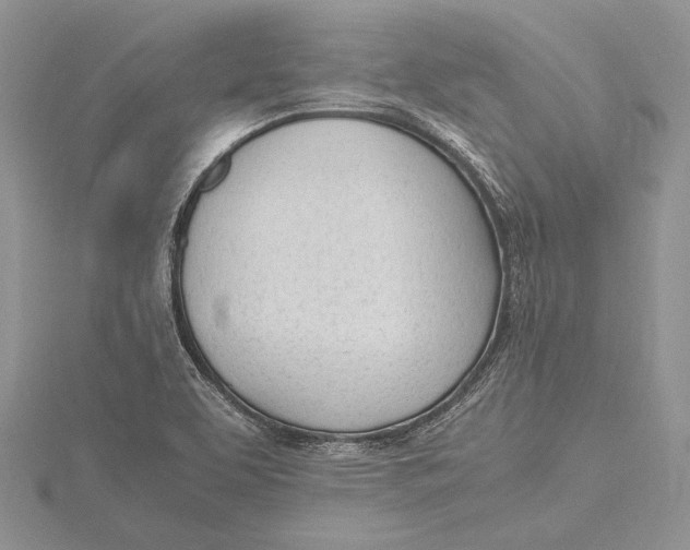 X0000115761463200912041400