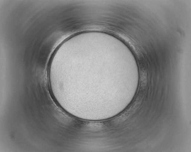 X0000115761466200912041400