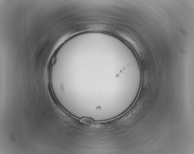 X0000115761467200912041400