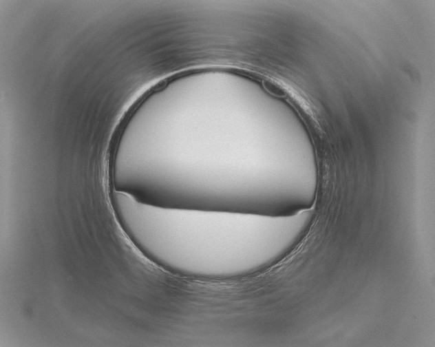 X0000115761468200912041400