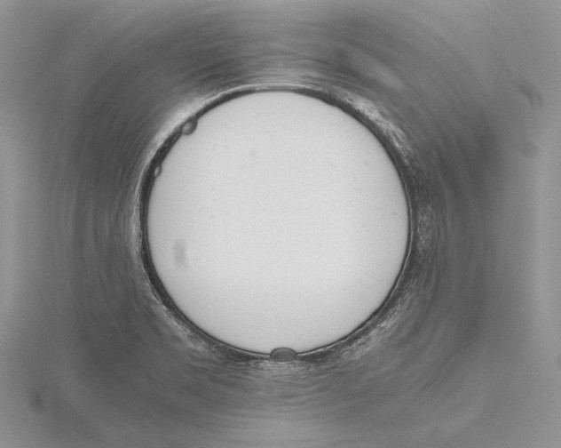 X0000115761469200912041400