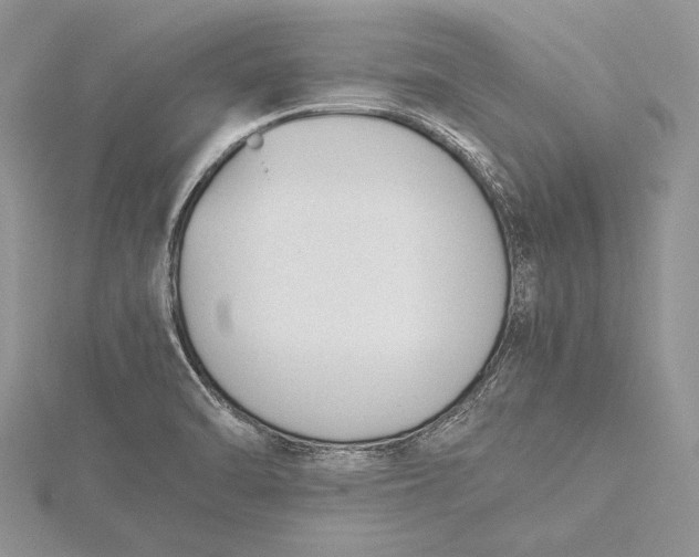 X0000115761470200912041400