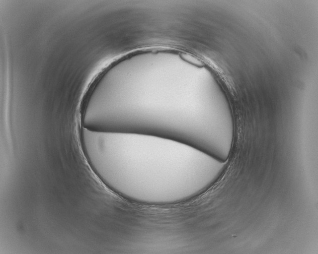 X0000115761472200912041400