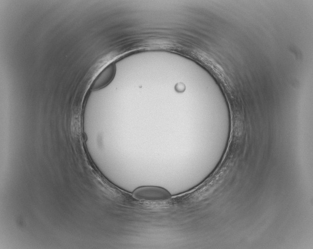 X0000115761473200912041400