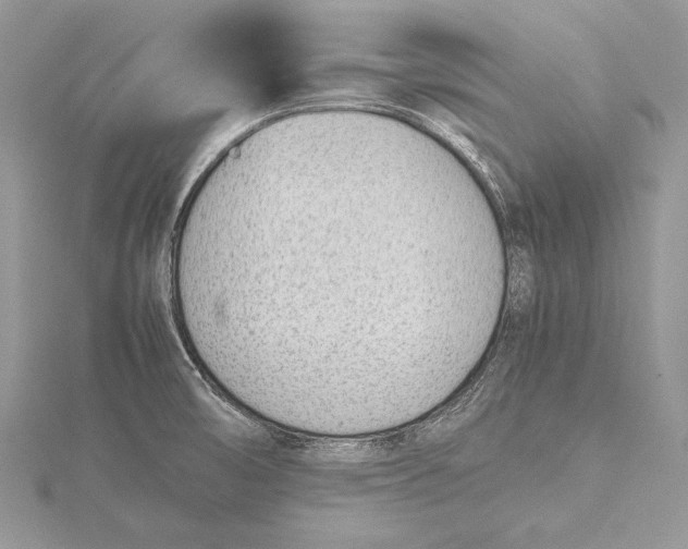 X0000115761474200912041400