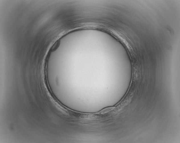 X0000115761475200912041400