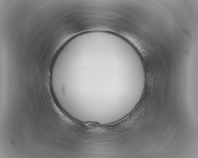 X0000115761476200912041400