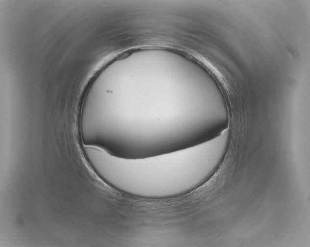 X0000115761477200912041400