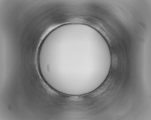 X0000115761478200912041400