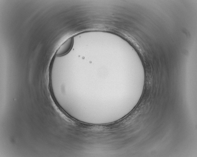 X0000115761479200912041400