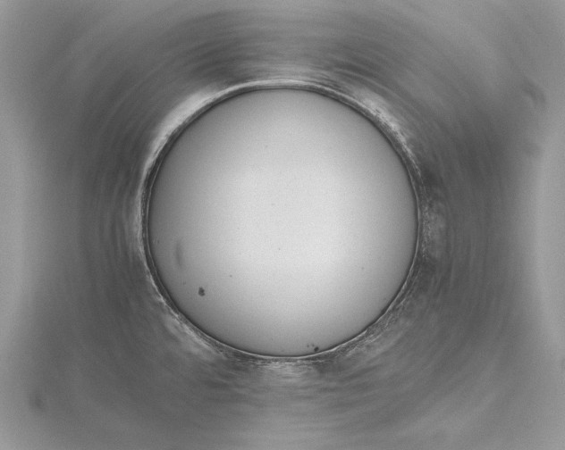 X0000115761480200912041400