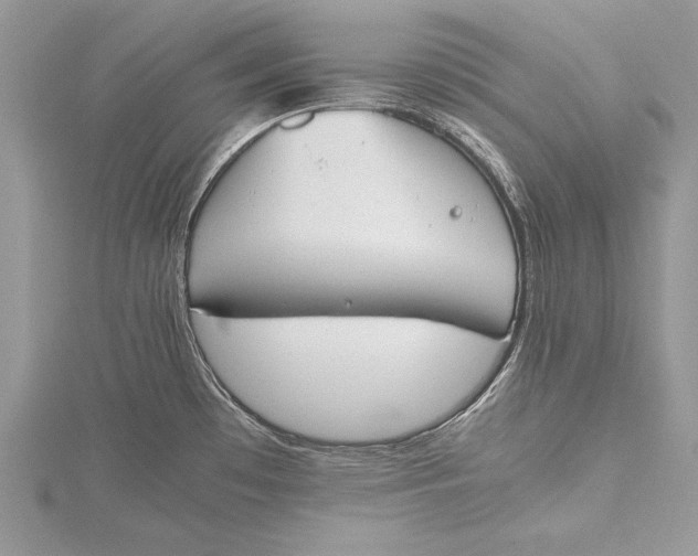 X0000115761481200912041400