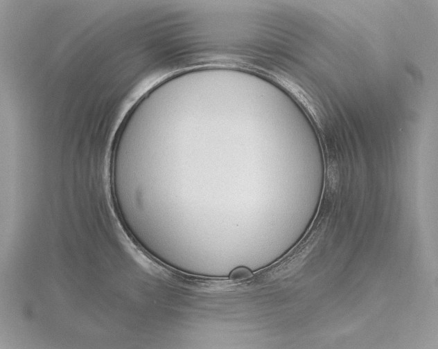 X0000115761482200912041400