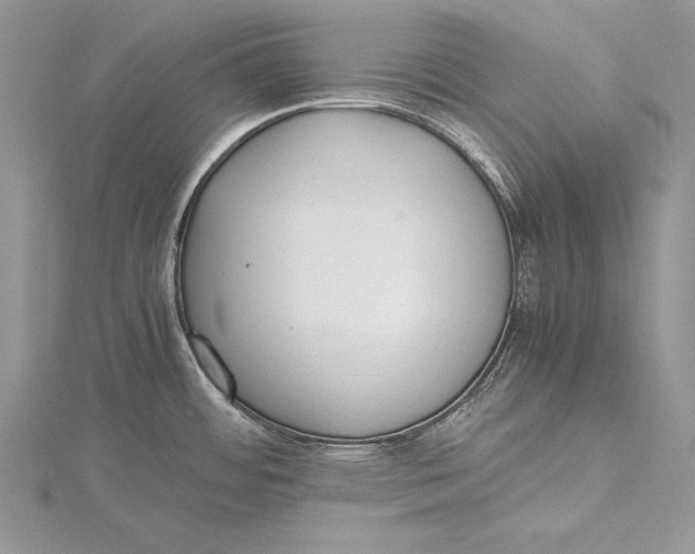 X0000115761484200912041400