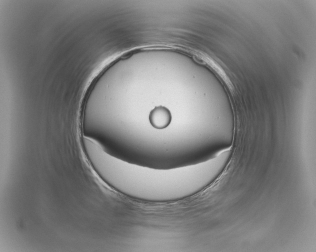 X0000115761485200912041400