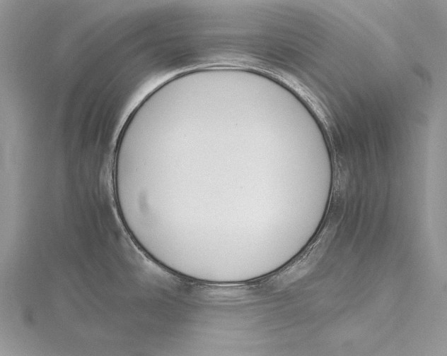 X0000115761486200912041400