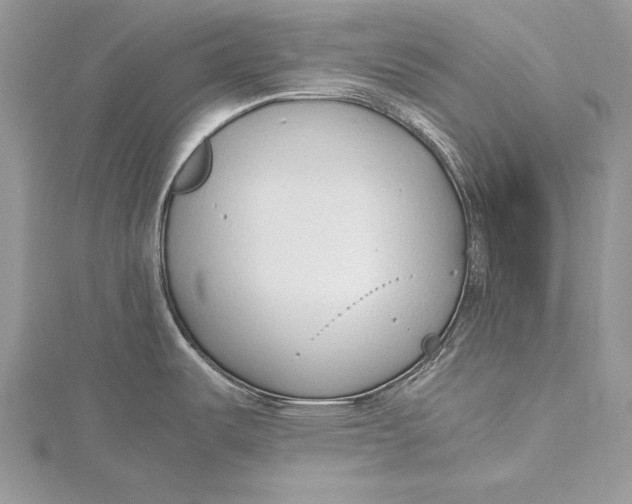 X0000115761487200912041400