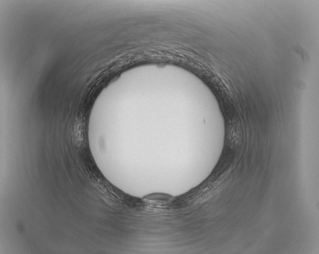 X0000115761490200912041359