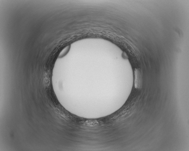 X0000115761491200912041359