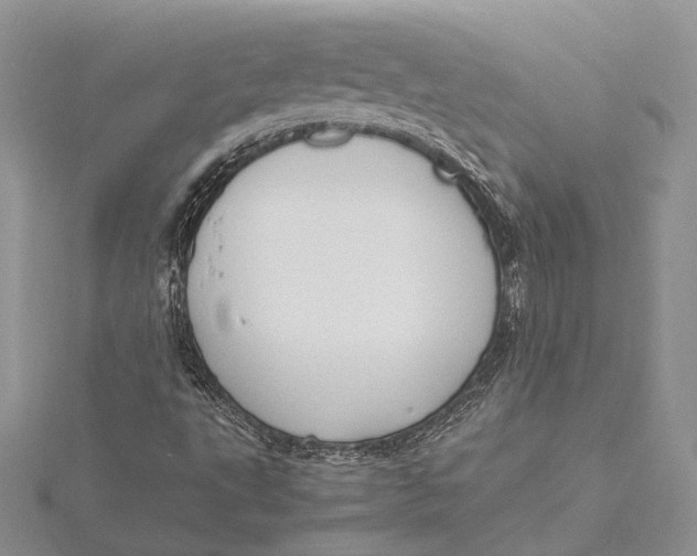 X0000115761495200912041359