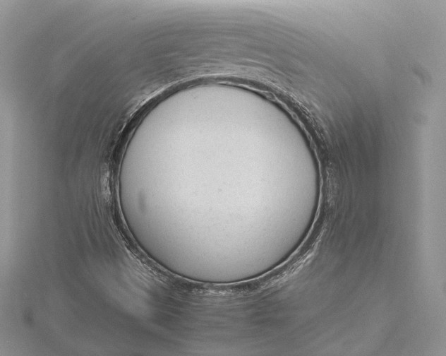 X0000115761497200912041359