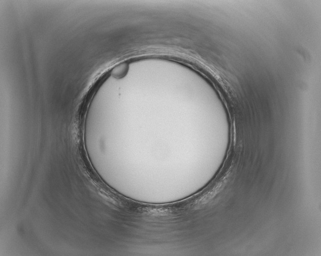 X0000115761501200912041359