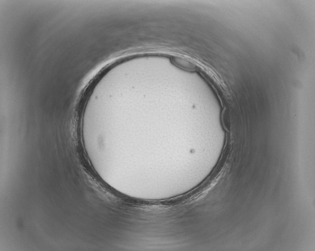 X0000115761502200912041359