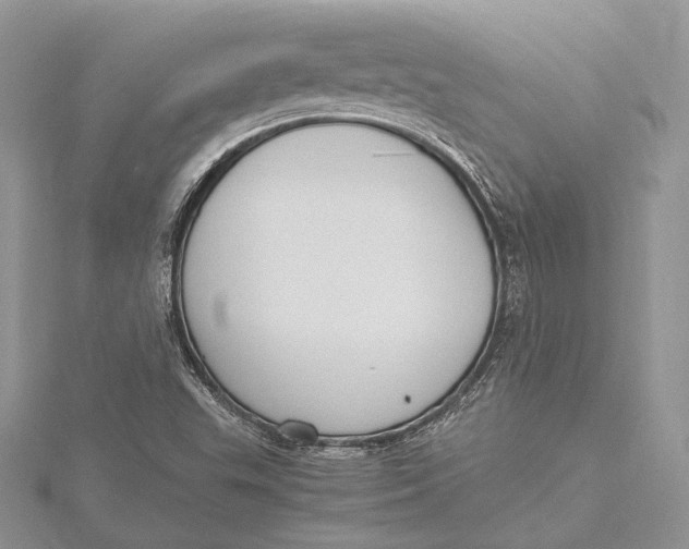 X0000115761503200912041359