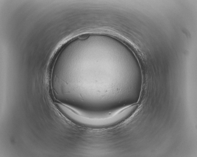 X0000115761506200912041359