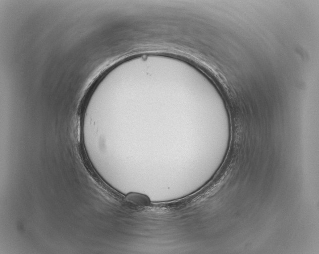 X0000115761509200912041359